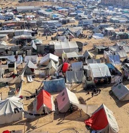 خاص | حرب القوارض والأوبئة تلاحق نازحي غزة وسط تفاقم الكارثة