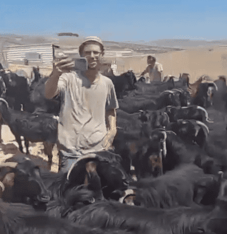 مستوطنون يهاجمون مجددا تجمع الكعابنة شرق الطيبة برام الله