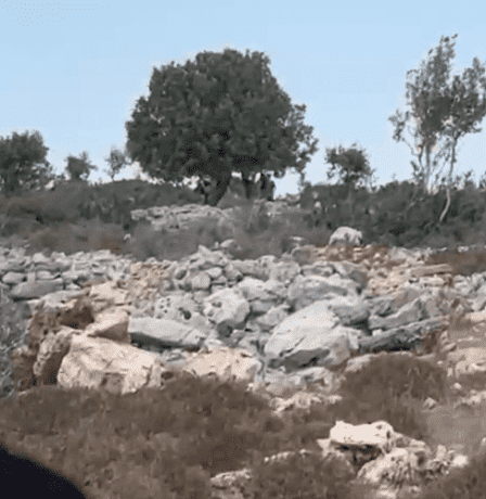 مستوطنون يشرعون بإقامة خيمة في منطقة الظهور شمال غرب سلفيت