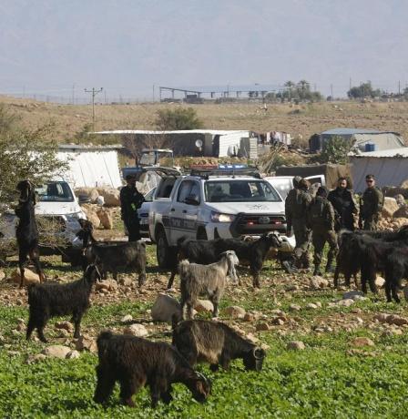 "بتسيلم": 47 عائلة فلسطينية تواجه خطر التهجير الوشيك في الأغوار