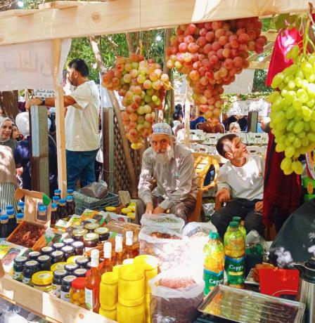 افتتاح مهرجان أيام العنب الخليلي في البلدة القديمة وسط مدينة الخليل
