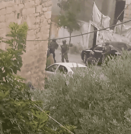 الخليل.. اعتقال مواطن وشقيقته في البلدة القديمة وشاب على مدخل العروب (فيديو)