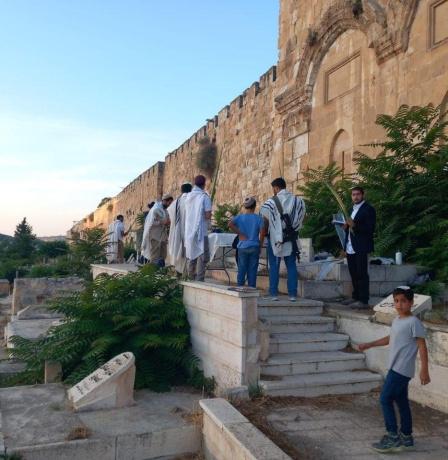 مستوطنون يدنسون مقبرة باب الرحمة المحاذية للمسجد الأقصى