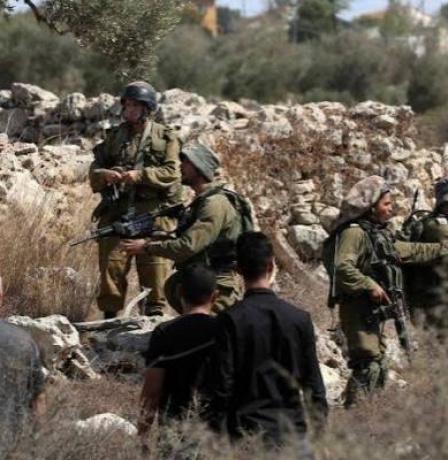 الاحتلال يمنع مواطنين من قطف الزيتون في الزاوية ومردا شمال سلفيت