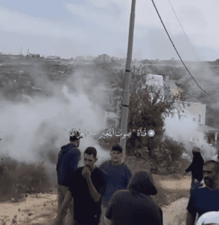 مستوطنون يستولون على مركبة ويسرقون زيتون ومعدات زراعية في عين يبرود