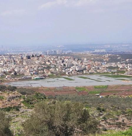 تقرير بالصور | آثار دير بلوط… حين يصبح الوصول إلى التاريخ صعبًا