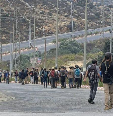 "شطحة": من هم المستوطنون الذين "تجوّلوا" بين سردا والجلزون وضاحية الريحان؟