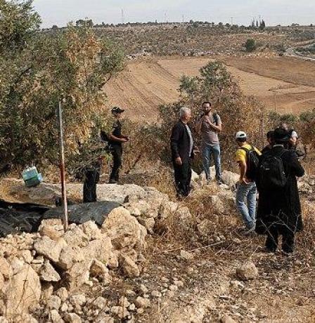 مستوطنون يستولون على ثمار وأدوات الزيتون في اللبن الشرقية