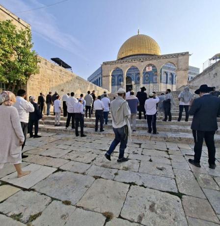 عشرات المستوطنين يقتحمون المسجد الأقصى