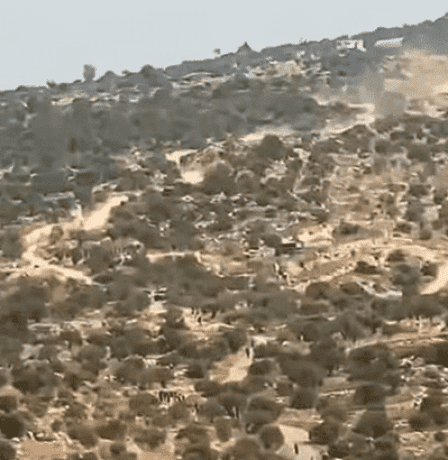 إصابات بالاختناق جراء هجوم للمستوطينن على مواطنين ونشطاء أجانب في بيت عور التحتا