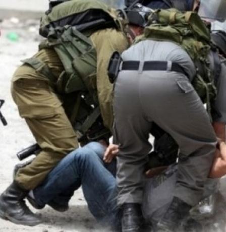 الاحتلال ينكل بمواطنين في بلدة تقوع