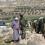 الاحتلال يهاجم رعاة الأغنام شرق بيت لحم