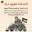 شبكة راية: نحذر من الخطر على حياة الزملاء في غزة
