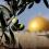 أين موقع فلسطين في الخريطة العالمية للزيتون؟ فياض فياض يجيب لراية