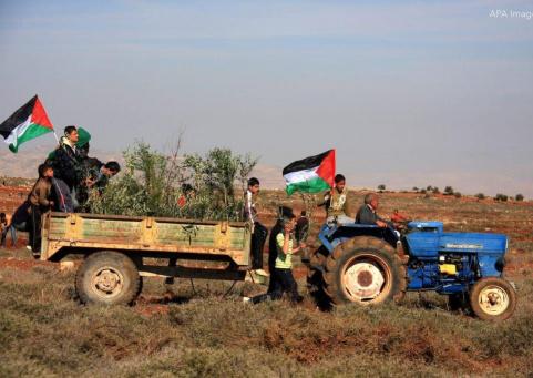 تهجير التراب الفلسطيني: جريمة صامتة تهدد الأراضي الخصبة وتخدم الاستيطان