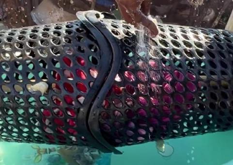 خاص| بين الخيمة والركام.. تيسير عبيد يخترع وسيلة حياة لأسرته في غزة