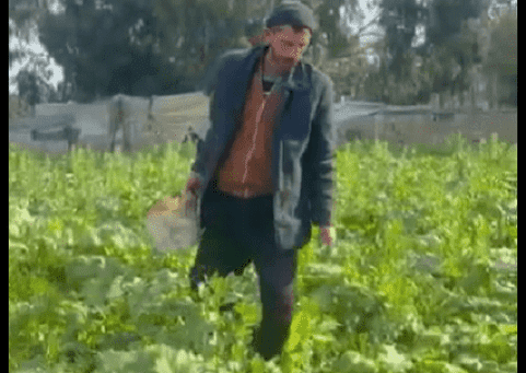 خاص| بين الدمار والأمل… مزارع غزي يعيد الحياة لأرضه