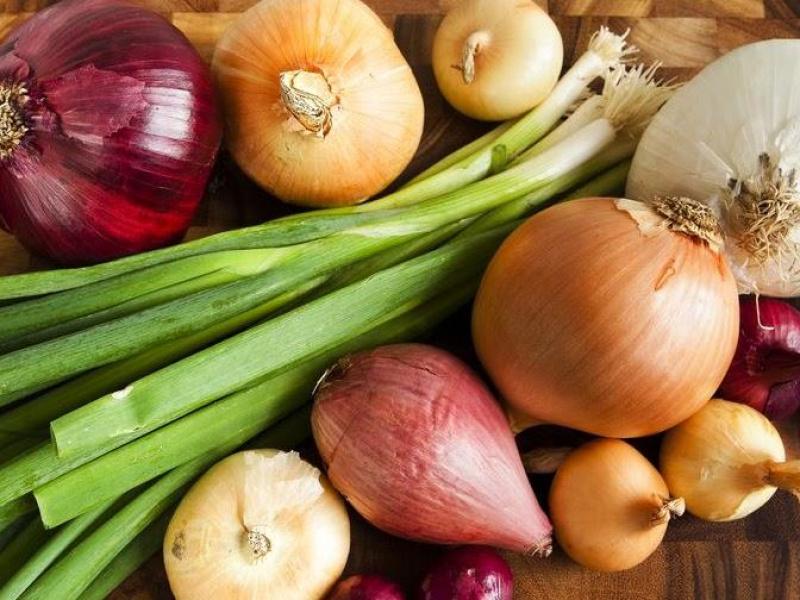 شبكة راية الإعلامية الرئيس ربما نصرف 40 من رواتب الموظفين الشهر المقبل