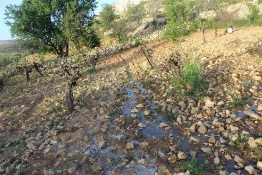 مستوطنون يضخون مياه عادمة في أراضي بيت لحم