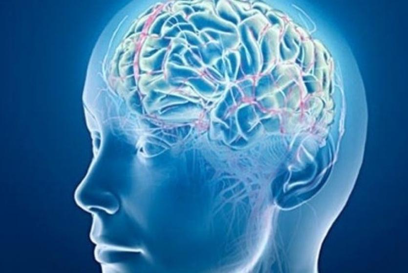 دراسة: صور الذكريات الجميلة تحسن أداء الدماغ