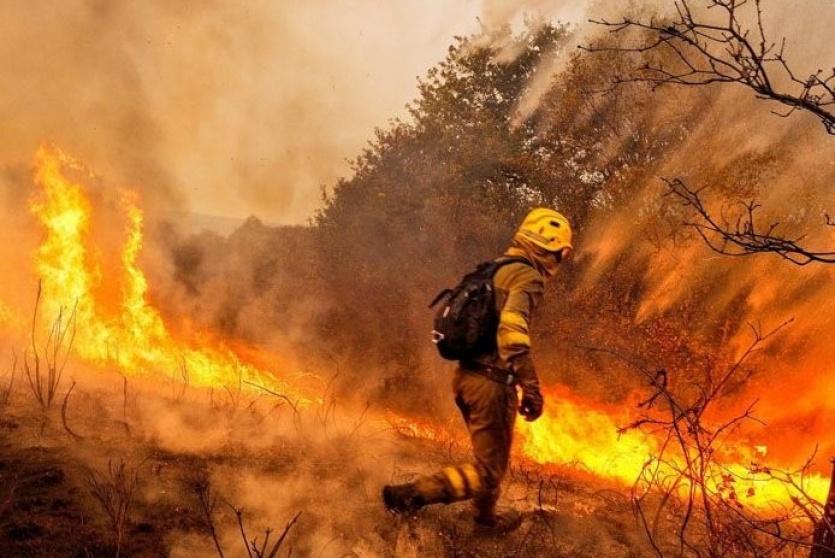 ارتفاع عدد ضحايا الحرائق  في البرتغال وإسبانيا