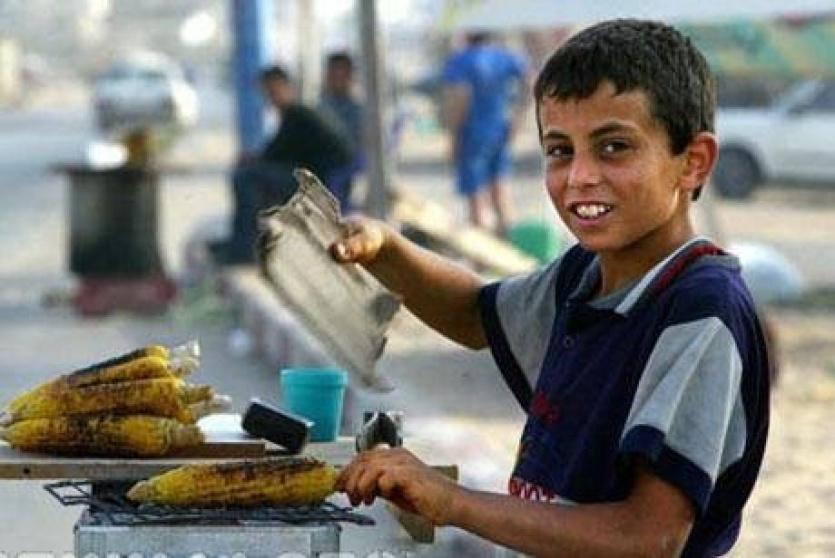 3.9% من أطفال فلسطين يعملون سواء بأجر او بدون أجر 