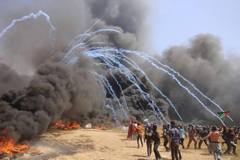 احراق الكوشوك في مواجهات غزة 