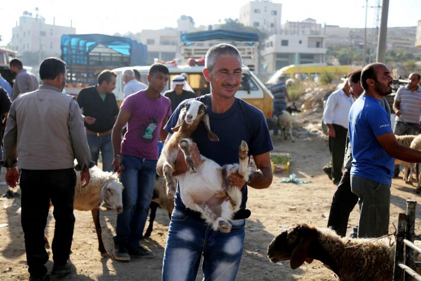 مواطن في سوق المواشي الذي يشهد اقبالا ضعيفا