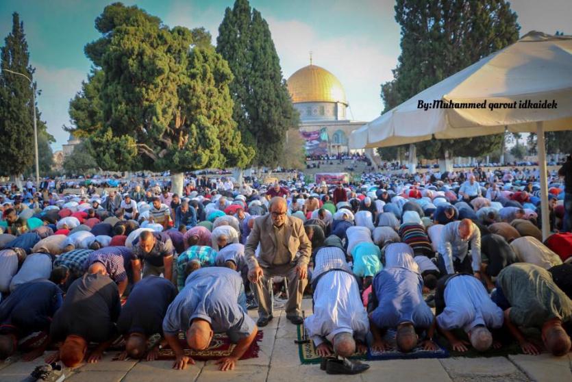 صلاة عيد الاضحى في الاقصى 