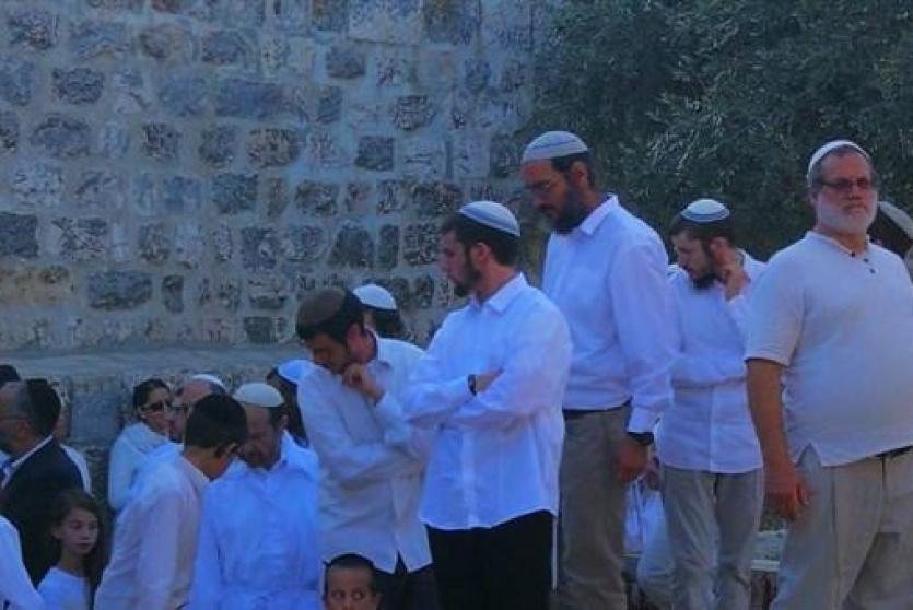 المستوطنون يستأنفون اقتحام المسجد الأقصى 