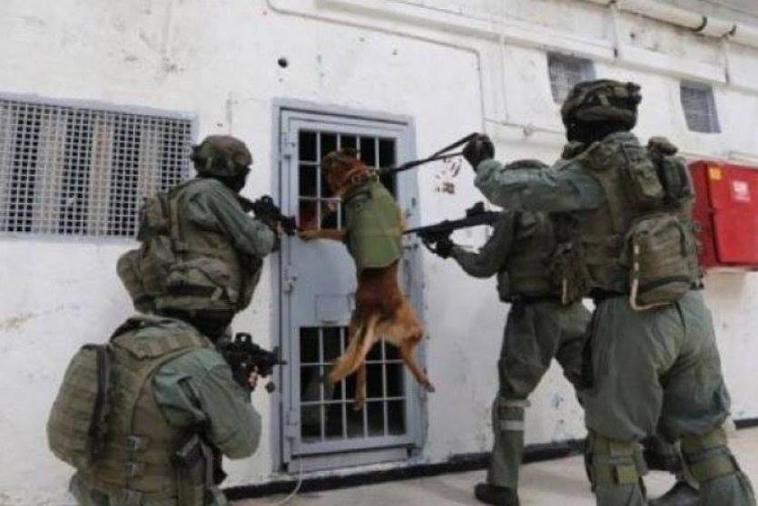 وحدات القمع التابعة لإدارة السجون الإسرائيلية