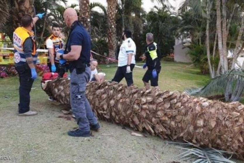 مكان سقوط شجرة النخيل في مدينة إيلات 