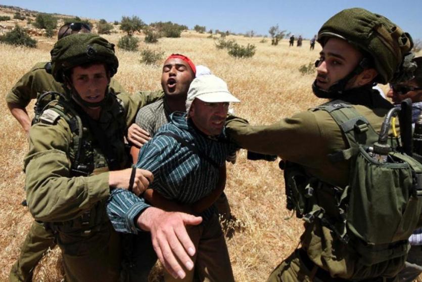 الاحتلال الاسرائيلي تعتدي على مسن 