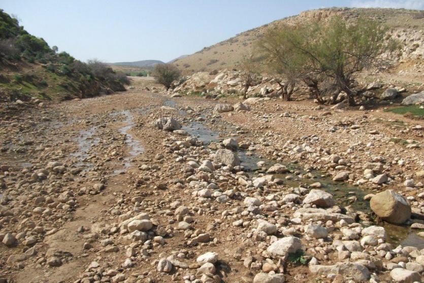 الاغوار