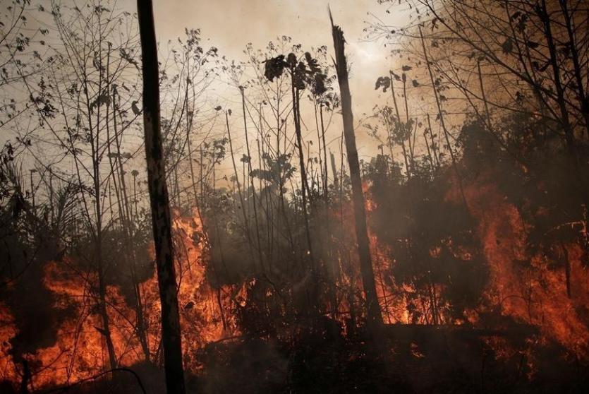  حرائق غابات الأمازون