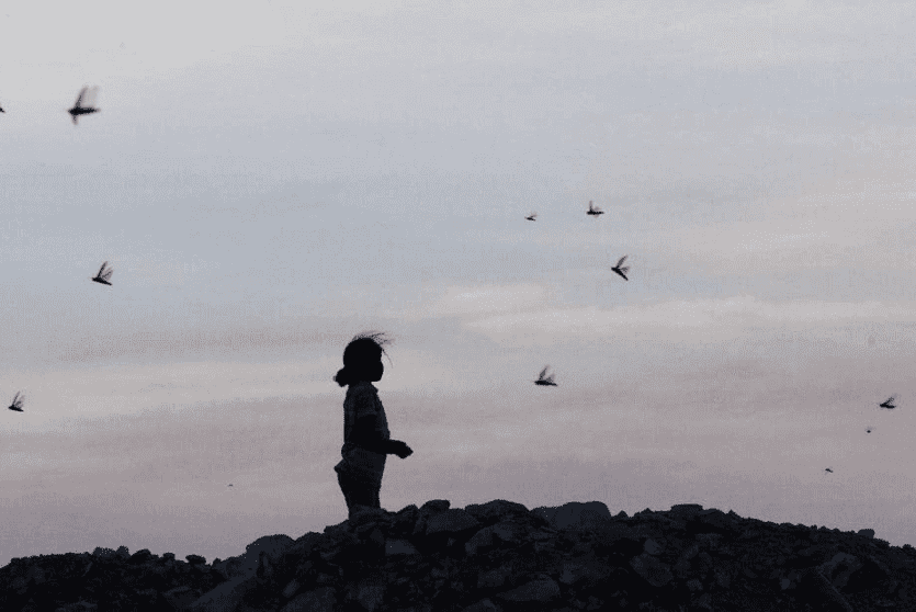 إثارت الضحية الرأي العام في مصر 