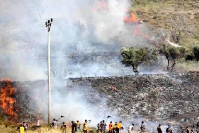 مستوطنون يحرقون أشجار زيتون في بورين- ارشيف 