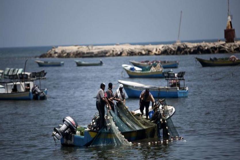 الصيادين في غزة 