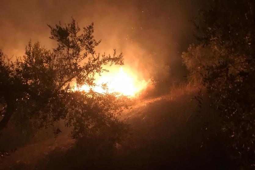 الحريق في المنطقة الأثرية في سبسطية