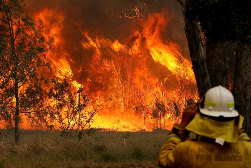 حرائق الغابات في استراليا 