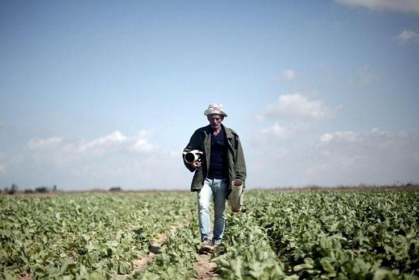 مزارع فلسطيني