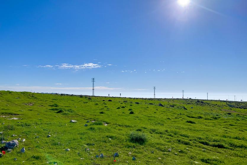 اجواء ربيعية