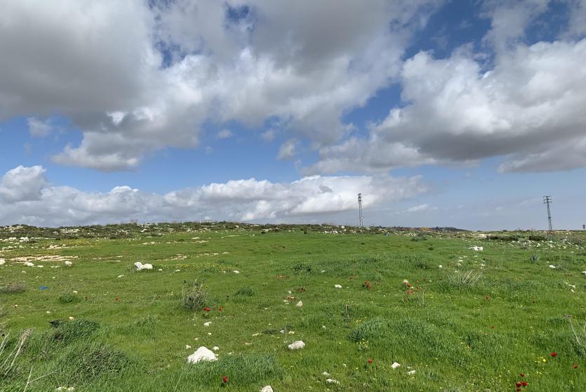 اجواء ربيعية