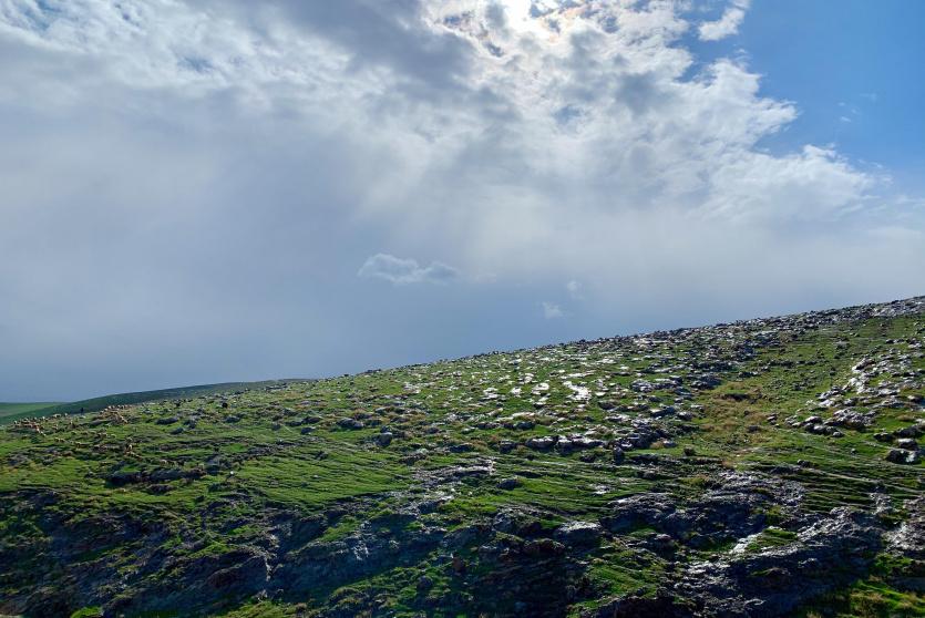 طبيعة فلسطين