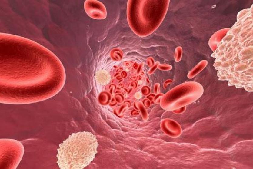 صورة توضيحية