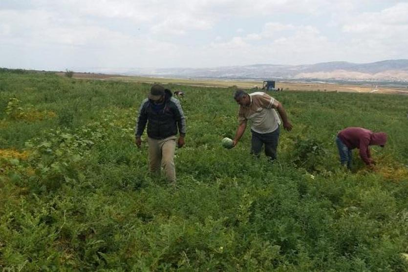 مزارعون فلسطينيون في الاغوار