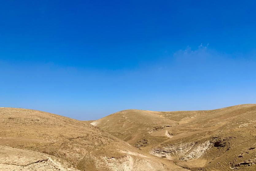 طبيعة فلسطين