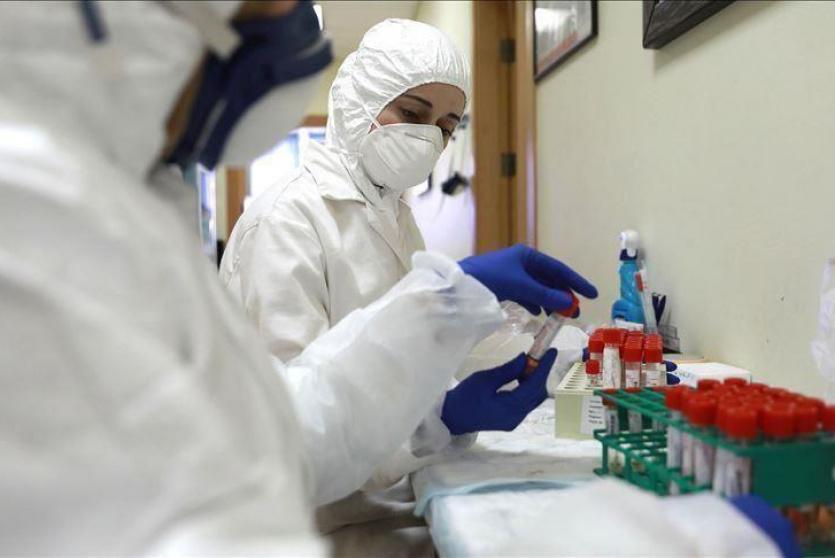 فحصات كورونا في فلسطين 