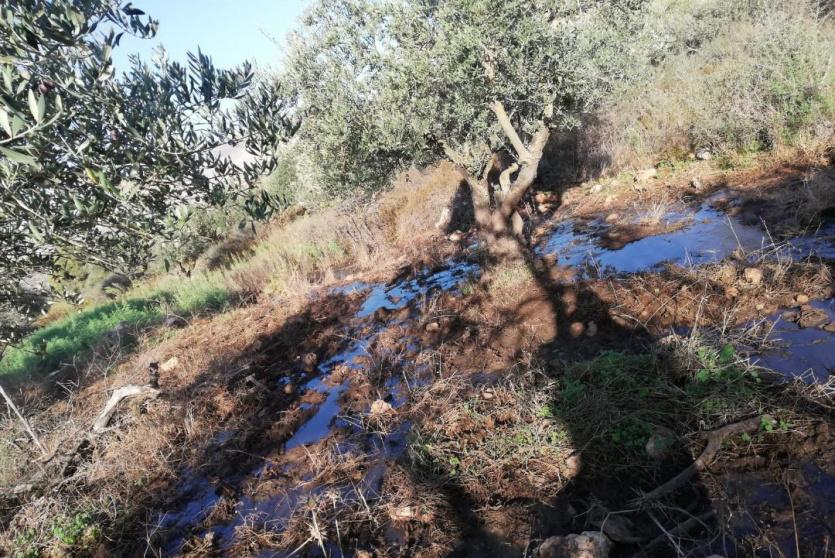 اغراق أراضي المواطنين بالمياه العادمة