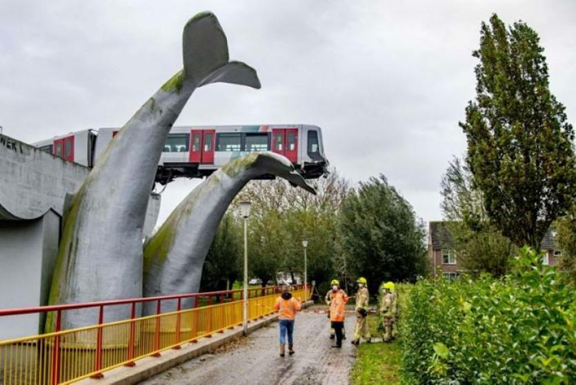 ذيل الحوت تحمي القطار من الكارثة